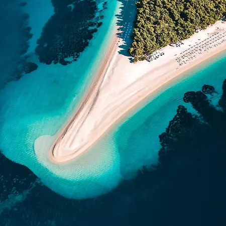 Lejlighed And Lea Bol